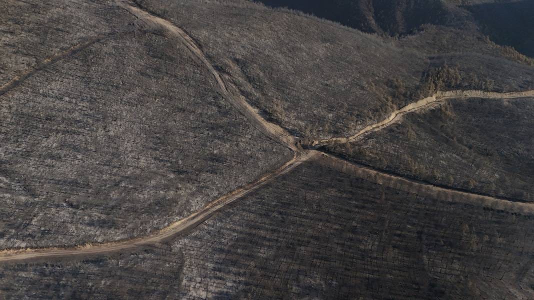 Sakarya'da yürek acıtan görüntüler: Yangının bıraktığı hasar ortaya çıktı 5